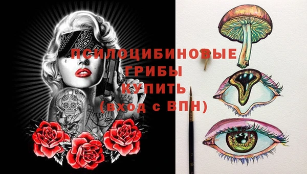 a pvp Армянск