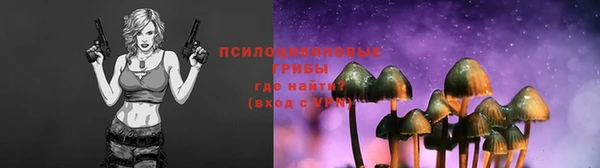 a pvp Армянск