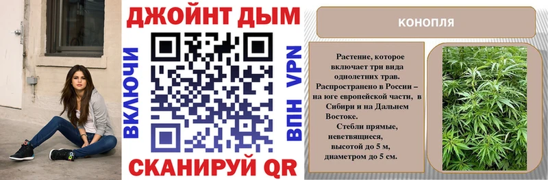 Канабис гибрид Зеленодольск